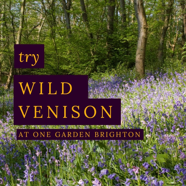 Wild venison web