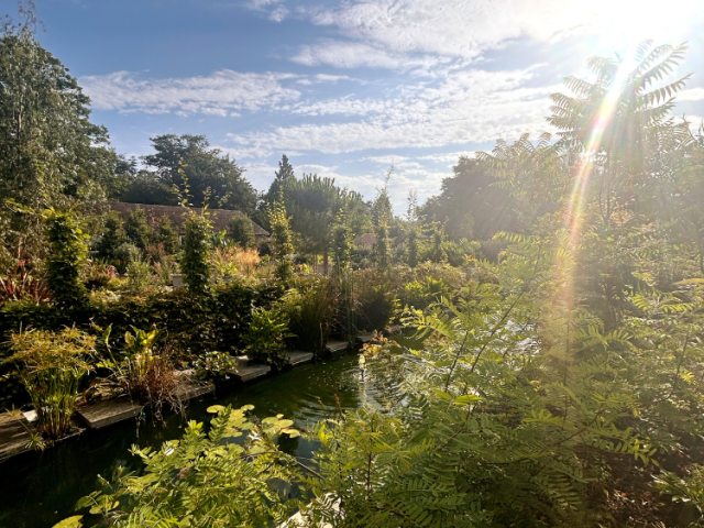 ageing well festival mindfulness one garden brighton