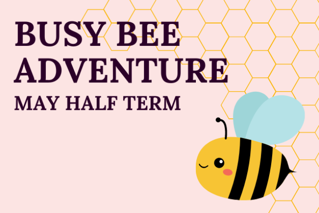 busy bee adventure