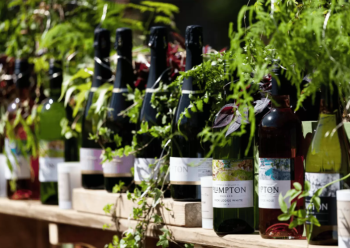 festive wine tasting