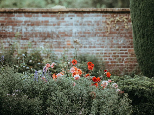 garden design